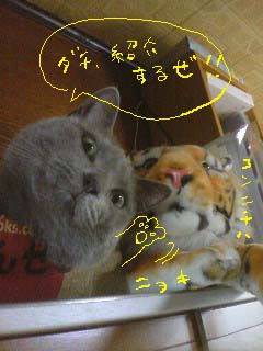shabu&tiger.jpg